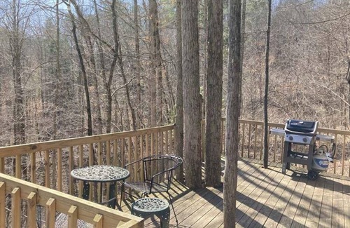 Slade Cabina | Away From It All! Pet Friendly