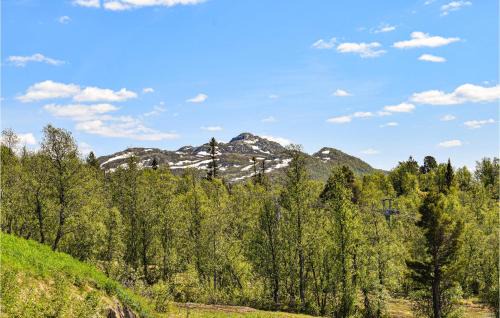 Rauland Apartamento | Awesome Apartment In Rauland With Sauna