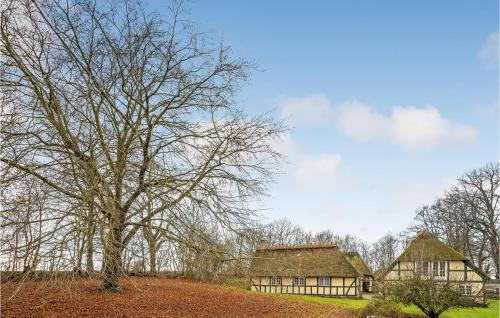 Ebberup Casa | Awesome Home In Ebberup With Sauna