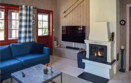 Rauland Casa | Awesome Home In Rauland With Kitchen