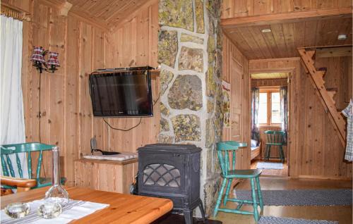 Vinje Casa | Awesome Home In Rauland With Kitchen