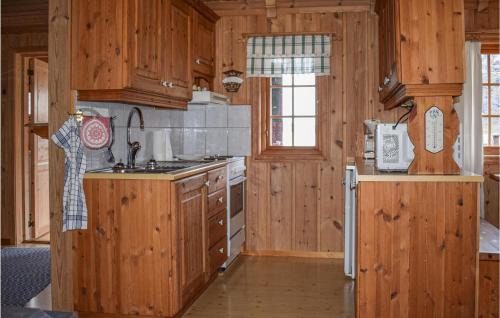 Vinje Casa | Awesome Home In Rauland With Kitchen
