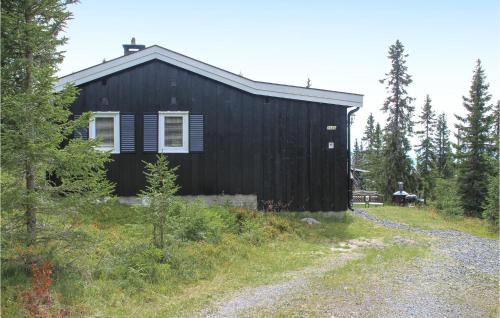 Sjusjoen Casa | Awesome Home In Sjusjøen With Wifi
