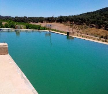 Aguelmous Otro | AYA Farm,Ferme d'hotes Aguelmous