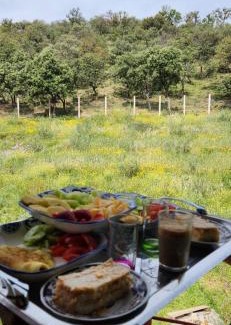 Aguelmous Otro | AYA Farm,Ferme d'hotes Aguelmous