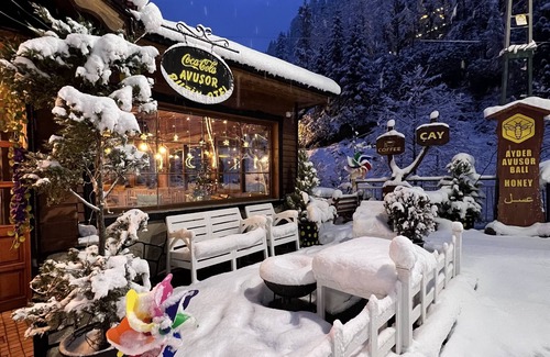 Ayder Yaylasi Hotel | Ayder Avusor Butik Otel