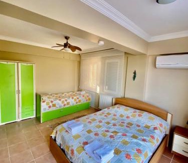 Altınova Villa | Ayvalik Seafront Villa