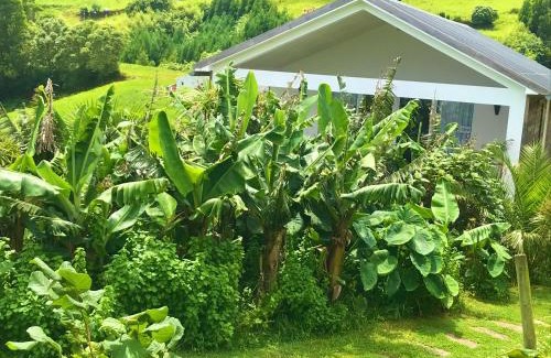 Nordeste Casa | Azores Casa Hawaii