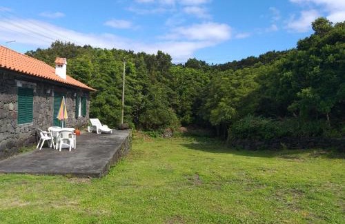 Sao Roque do Pico Casa | Azores Hibiscus House - Mountain and Sea