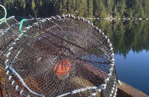 Port McNeill Casa | Azure Blue Beach House ~ * ~ Telegraph Cove B. C.