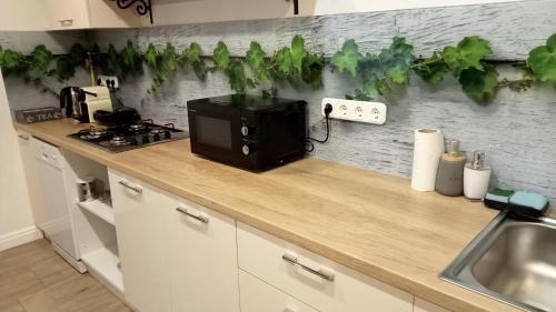 Kapolnasnyek Apartamento | Bíbic Apartman A