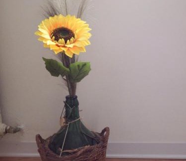 Buonconvento Cama Y Desayuno | B&B Al Colle