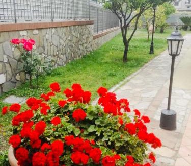 Sant'Anastasia Cama Y Desayuno | B&B Alba