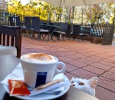 Nis Cama Y Desayuno | B&B Alex18