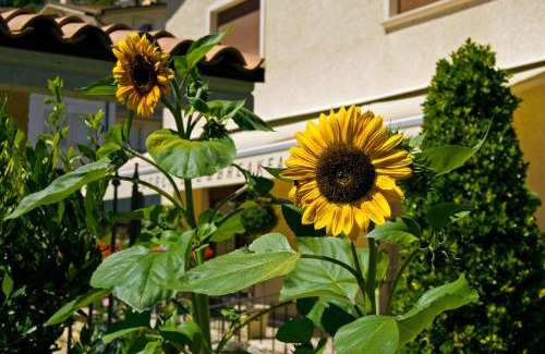 Scanno Cama Y Desayuno | B&B Angela