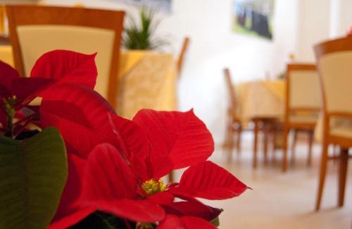 Scanno Cama Y Desayuno | B&B Angela