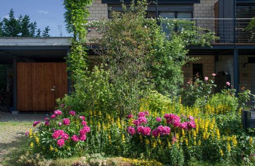 Battwil Cama Y Desayuno | B&B Bättwil