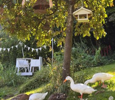 Osterfingen Cama Y Desayuno | B&B Bad Tiefenau, HAUS AN DER QUELLE