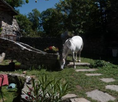 Yssingeaux Cama Y Desayuno | B&B Bio et écolo du Besset