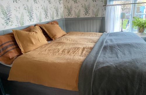 Falkenberg Cama Y Desayuno | B&B Bland ormbunkar och rosor