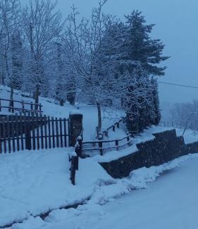 Valagnesi Cama Y Desayuno | B&B Borgo Valagnesi casa Annarita