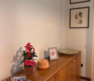 Citta di Castello Cama Y Desayuno | B&B Camelia