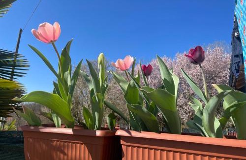 Capriglio Cama Y Desayuno | B&B Cascina Dei Levrieri