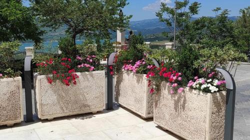 Celenza Valfortore Cama Y Desayuno | B&B Celeste - Palazzo D'Addario