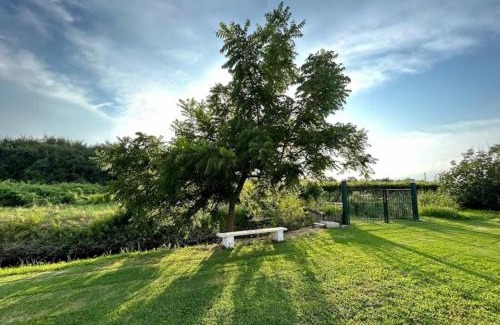 Montioni Cama Y Desayuno | B&B da Rosy