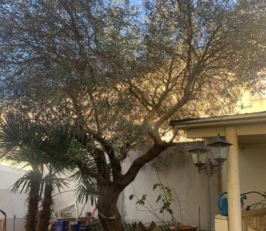 Comacchio Cama Y Desayuno | B&B Dal Fiocinino