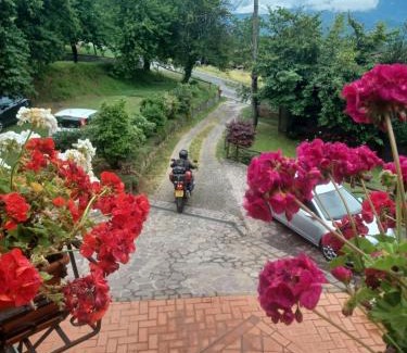 Castiglione di Garfagnana Cama Y Desayuno | B&B DANIELA affittacamere