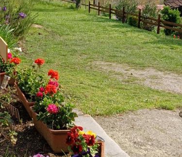 Castiglione di Garfagnana Cama Y Desayuno | B&B DANIELA affittacamere