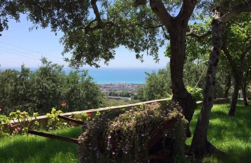 Praia a Mare Cama Y Desayuno | B&B dei Fiori