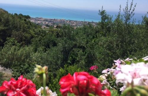 Praia a Mare Cama Y Desayuno | B&B dei Fiori