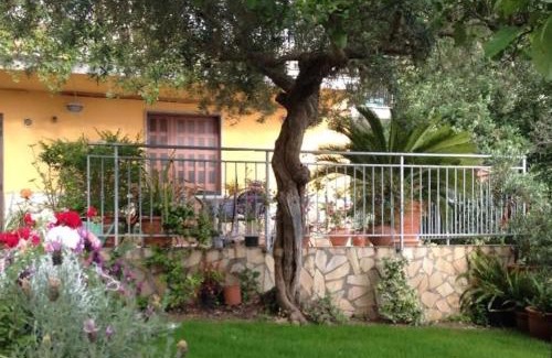 Praia a Mare Cama Y Desayuno | B&B dei Fiori