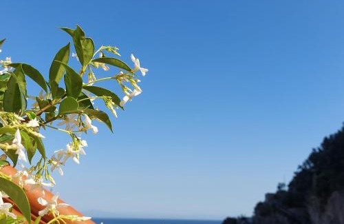 Cetara Cama Y Desayuno | B&B Domus San Pietro