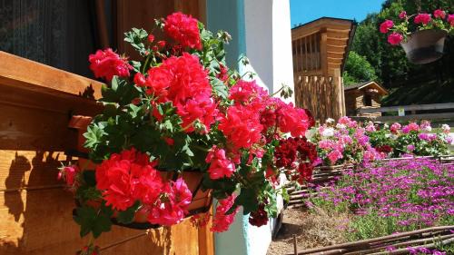 Cavalese Cama Y Desayuno | B&B El Molin