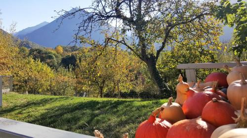 Beaucens Cama Y Desayuno | B&B Eth Béryè Petit