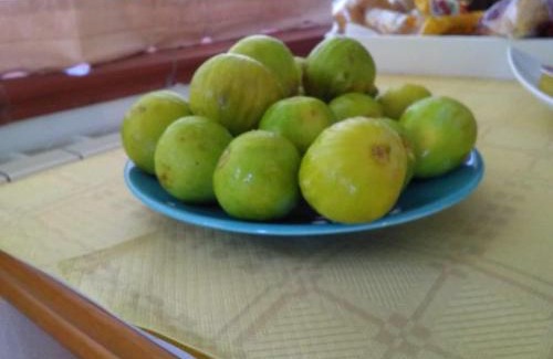 Cittadella del Capo Cama Y Desayuno | B&B Il Faro