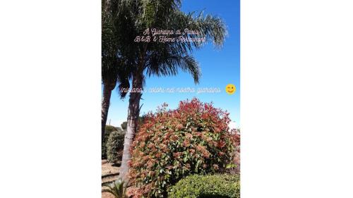 Alliste Cama Y Desayuno | B&B Il Giardino di Paola