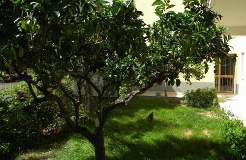 Diamante Cama Y Desayuno | B&B Il Giardino Diamante