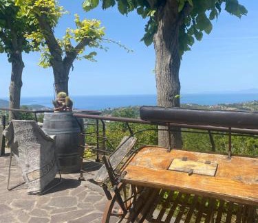 Ogliastro Cilento Cama Y Desayuno | B&B Il giardino di Armida