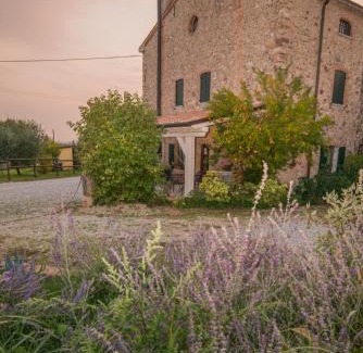 Colà Di Lazise Cama Y Desayuno | B&B il mio Casale