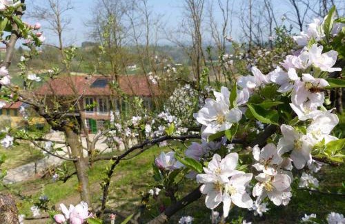Castelnuovo don Bosco Cama Y Desayuno | B&B Il vecchio pero