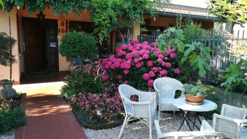 Grignano Cama Y Desayuno | B&B L'Isola di Casa