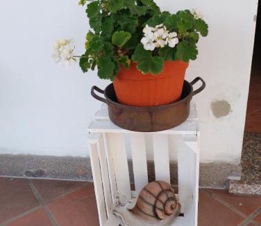 Bagnacavallo Cama Y Desayuno | B&B La Chiocciola