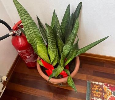 Bagnacavallo Cama Y Desayuno | B&B La Chiocciola
