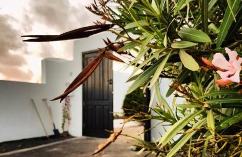 Teguise Cama Y Desayuno | B&B La Mimosa