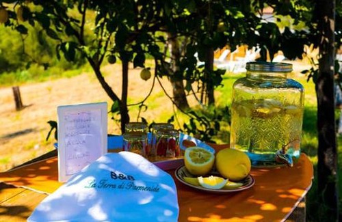 Ascea Cama Y Desayuno | B&B La Terra di Parmenide