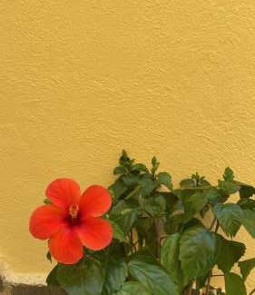 Lancusi Cama Y Desayuno | B&B Le Cinque Porte